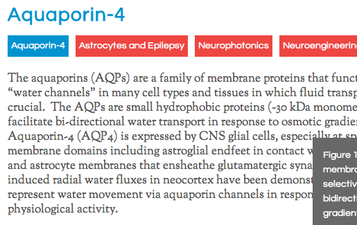 Translational design detail